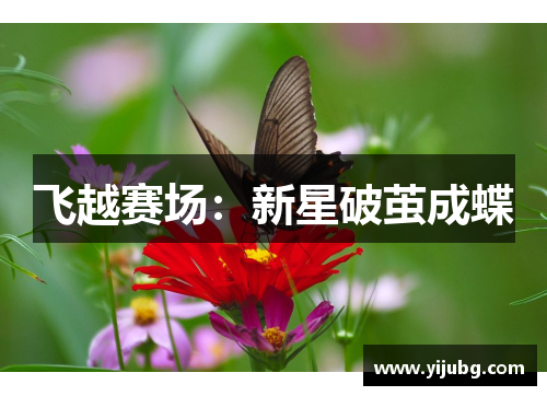 飞越赛场：新星破茧成蝶